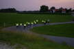 picture-0072